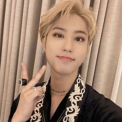 STRAY KIDS | han jisung