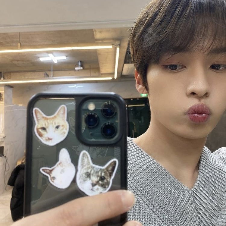 STRAY KIDS | lee know