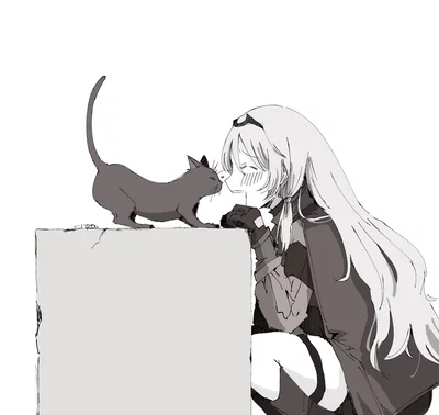 AN-94 & Annie || Meow Meow Meow, Meow Meow Meow Meow, Meow Meow