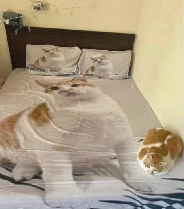 UHHH...