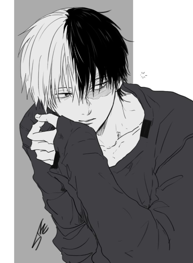Shoto Todoroki 