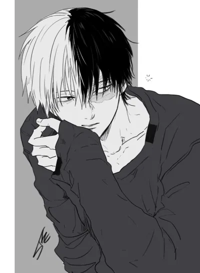 Shoto Todoroki 