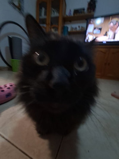 Kskekfk