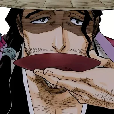 Shunsui Kyōraku (The Thousand-Year Blood War arc)