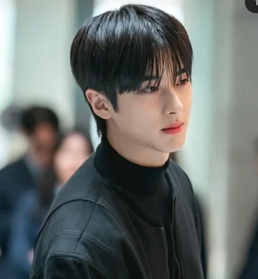 Cha Jinwook