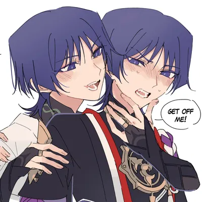 Scaramouche & Wanderer