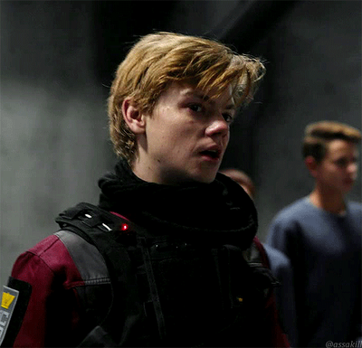 Newt