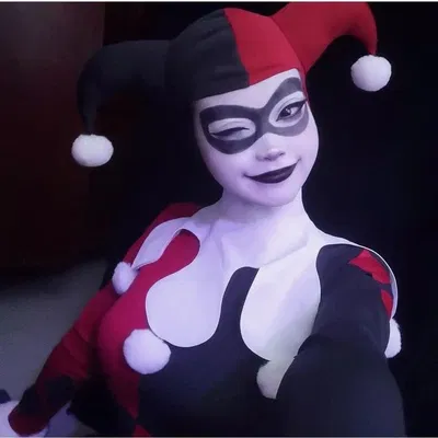 Harley Quinn / The friendly neighborhood Harley Quinn