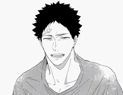 Iwaizumi Hajime 