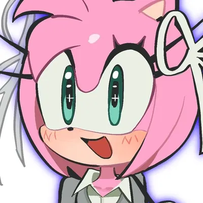 Amy Rose the Hedgehog
