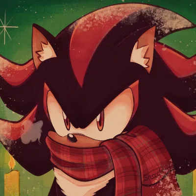 Shadow the Hedgehog