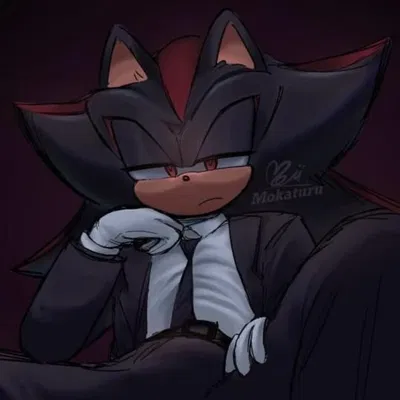 Shadow the Hedgehog