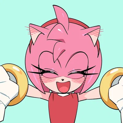 Amy Rose the Hedgehog
