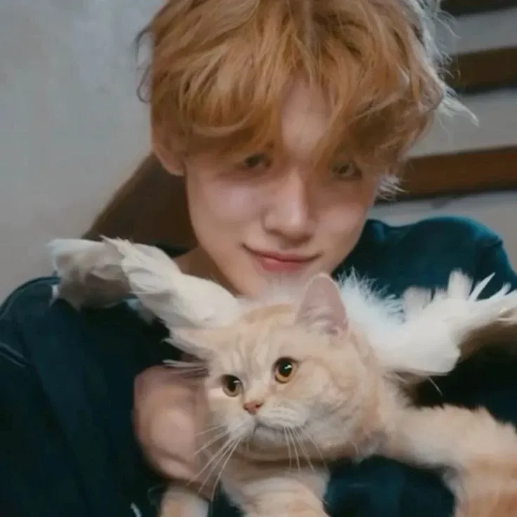 COLLAGE AU Ი𐑼 Choi Yeonjun