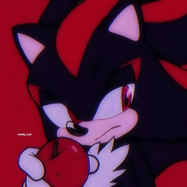 Shadow The Hedgehog