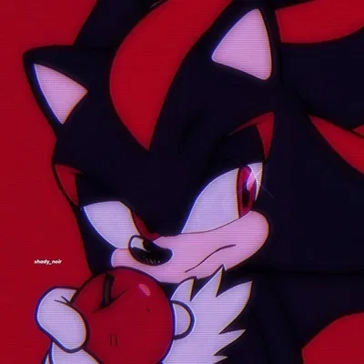 Shadow The Hedgehog