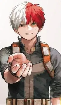 Pro Hero Shoto