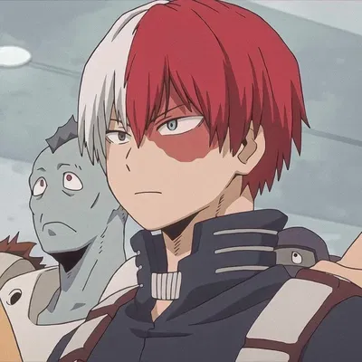 Shoto Todoroki
