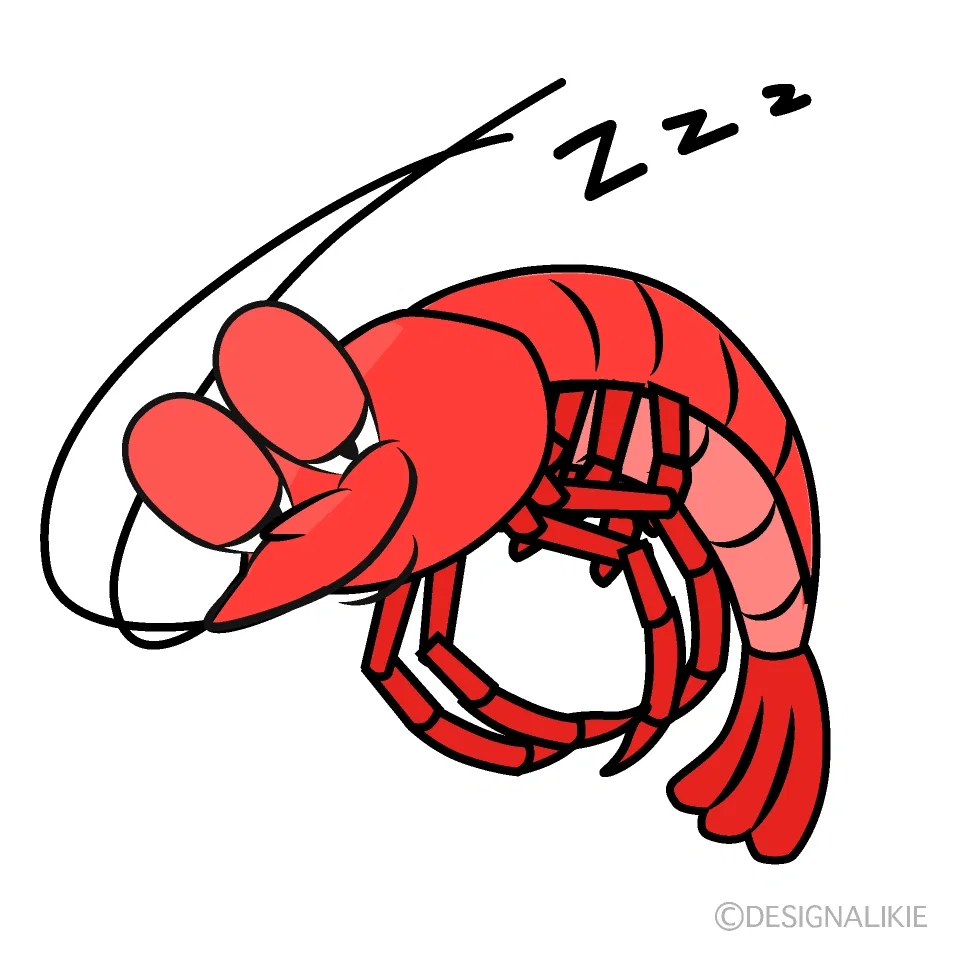 shrimp