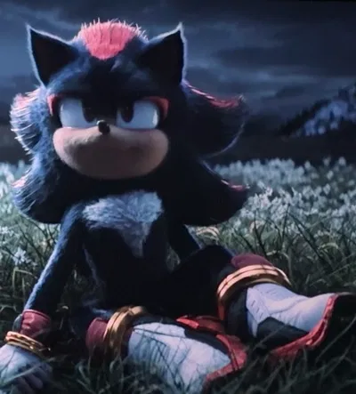 Shadow the Hedgehog