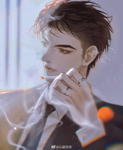 Sebastian Litz / Criminal
