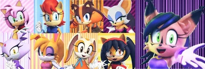 Amy, Sally Acorn, Sticks, Cream, Honey, Blaze, Rouge, Bunnie Rabbot & Nicole