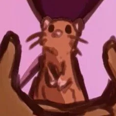 The Rat