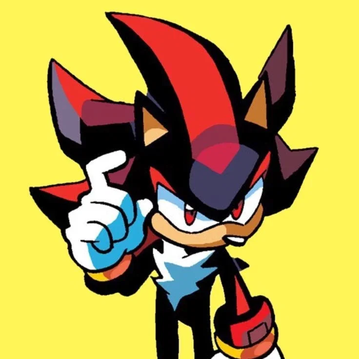 Shadow The Hedgehog