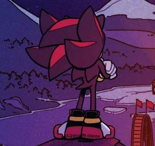 Shadow The Hedgehog