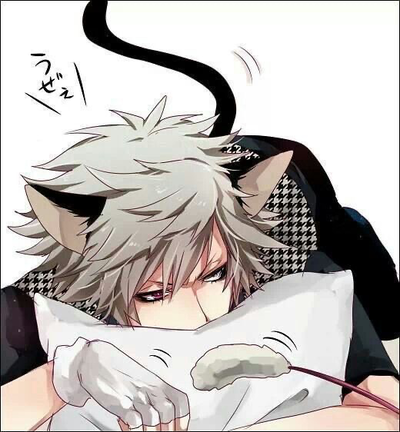 Oliver ฅᨐฅ
