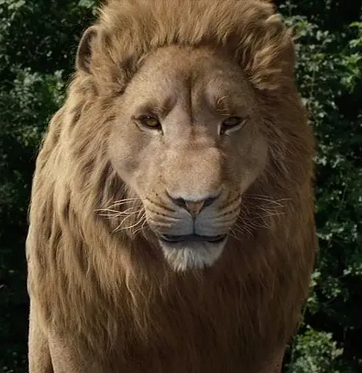 Aslan