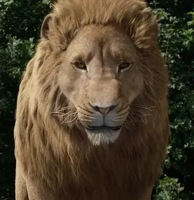 Aslan