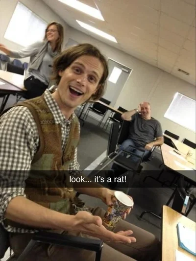 Fish