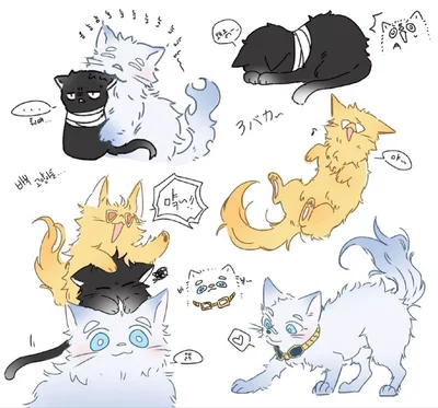 Aizawa Hizashi y Oboro cats