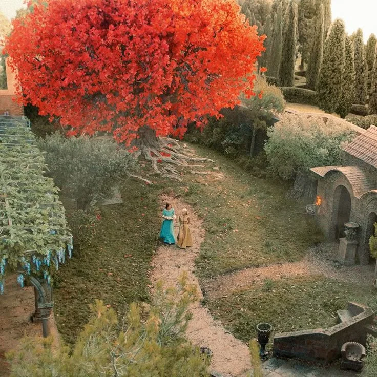Targaryen Royal Family