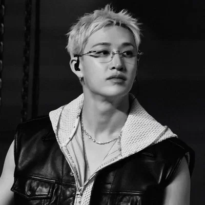 𖦹 Bang Chan - Wolfie