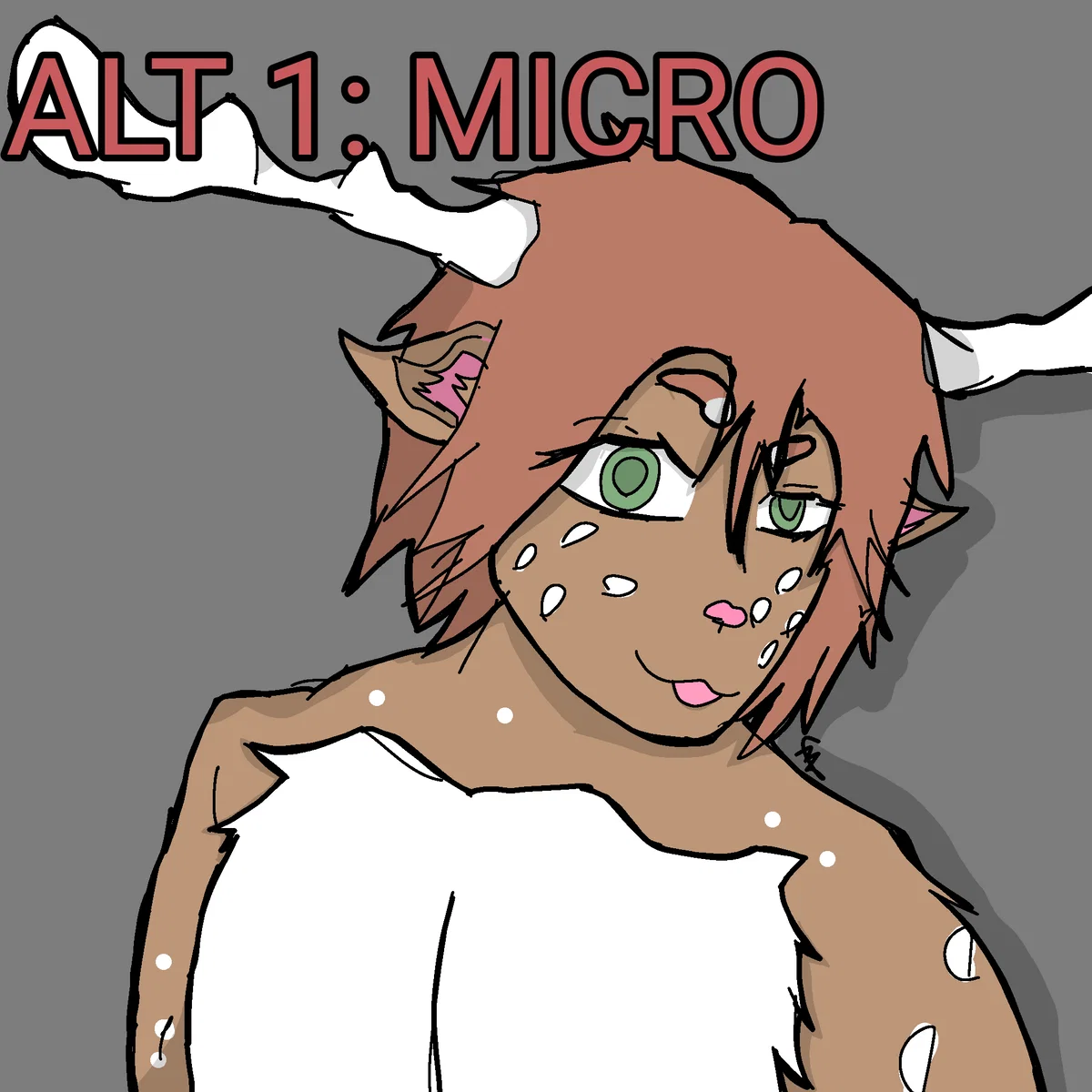 Taiga || MacroPOV