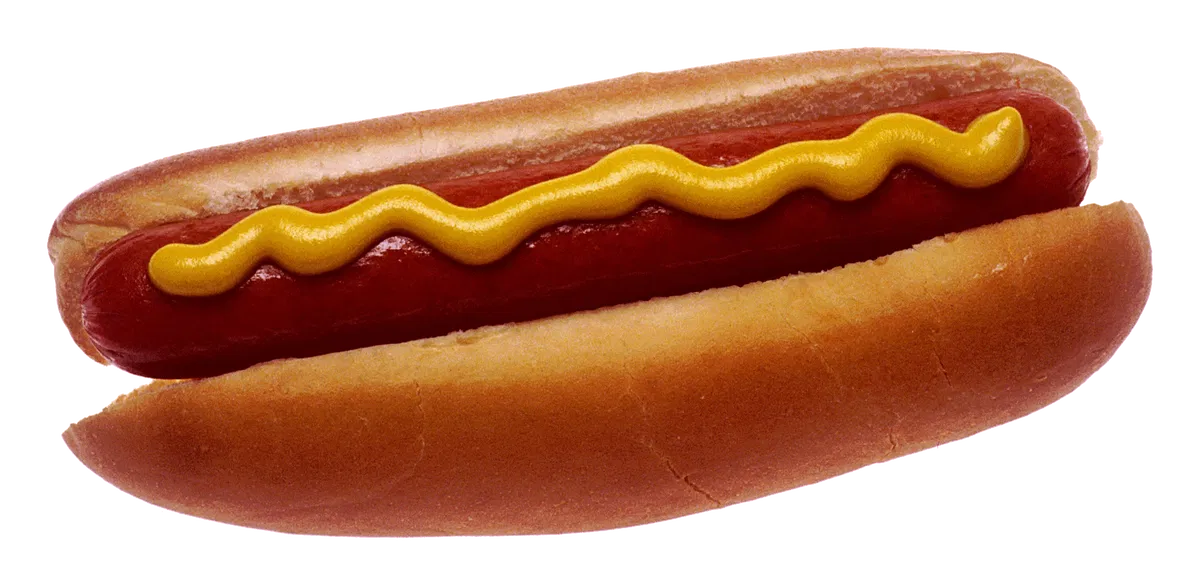 Hotdog -"Yeah, its a literal hotdog, theres literally nothing else to see bru".