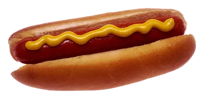 Hotdog -"Yeah, its a literal hotdog, theres literally nothing else to see bru".