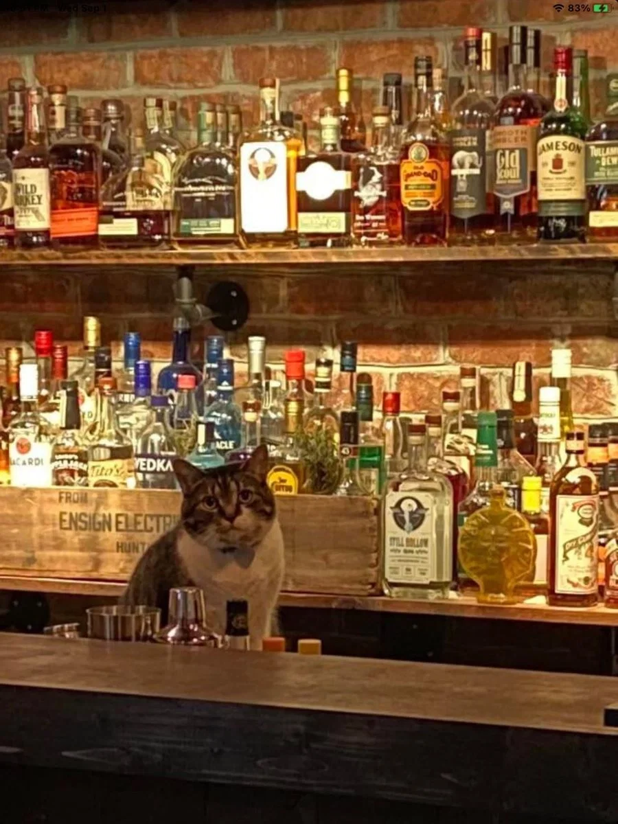 your local bar, moonlight spirits!