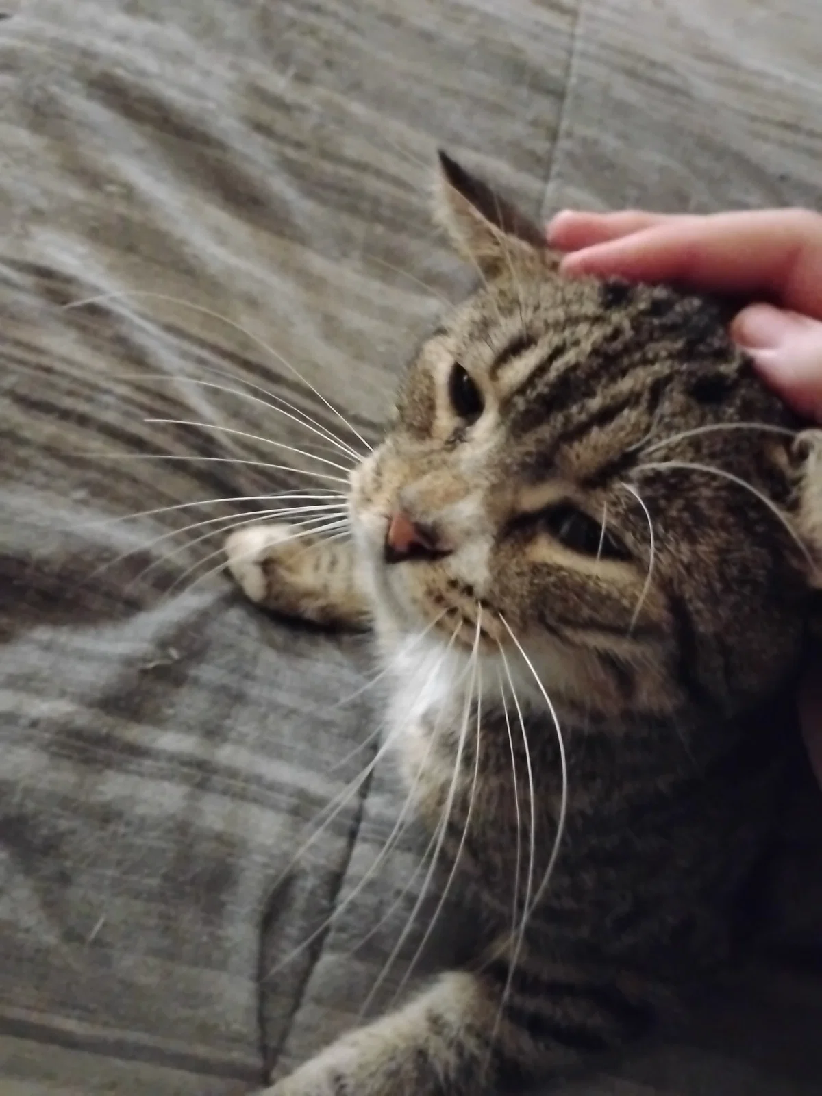 Sneezy