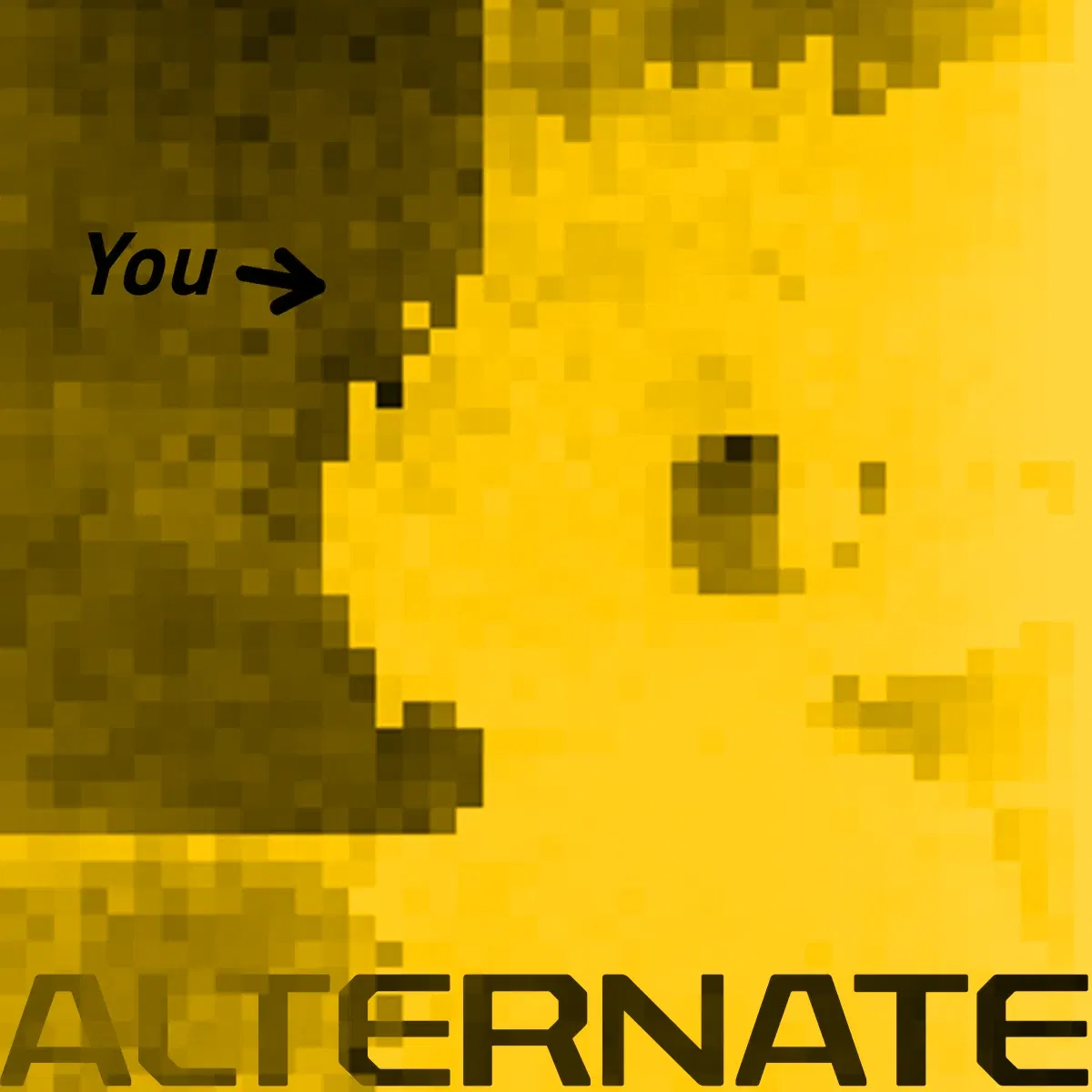 Experiment TF (2ND ALTERNATE)