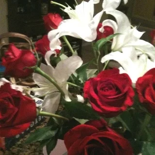 Riddle Rosehearts and Es