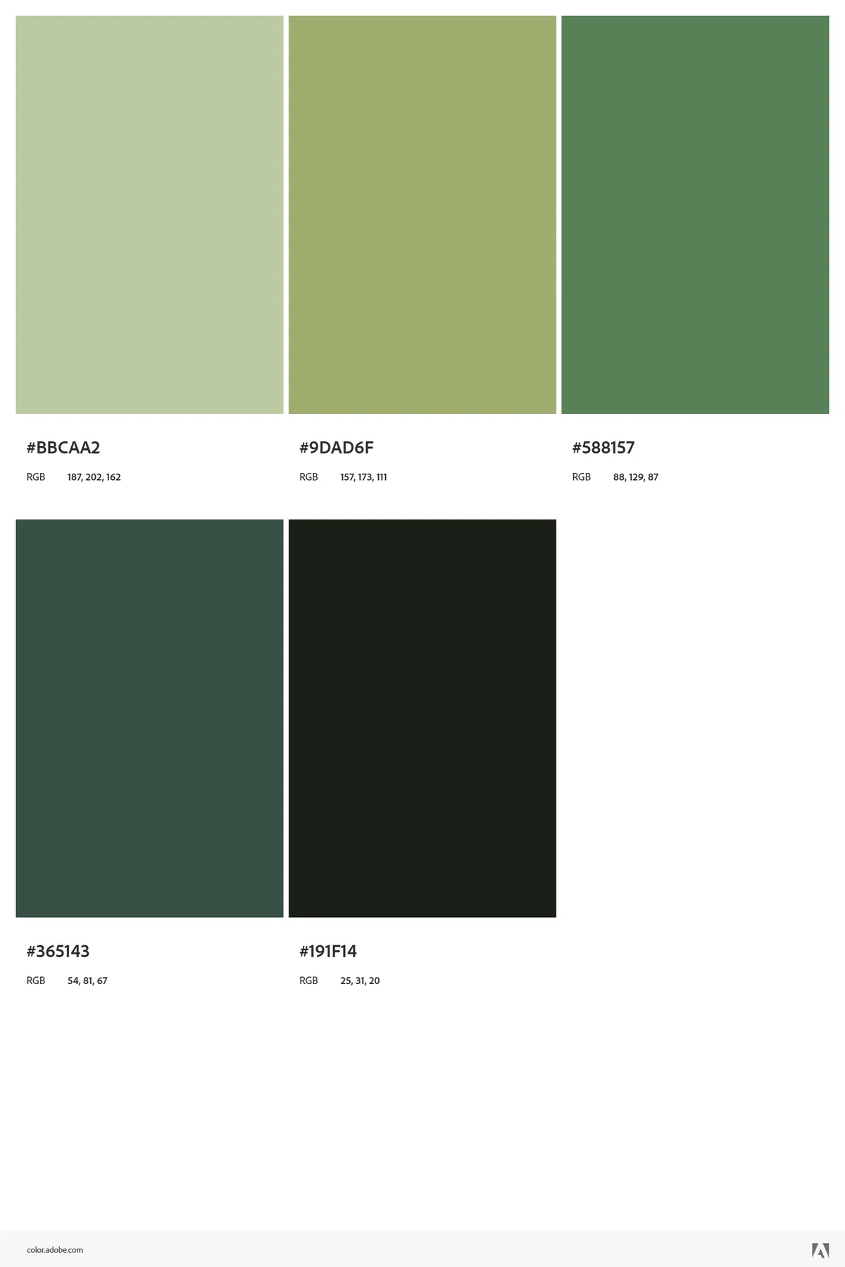 css dummy