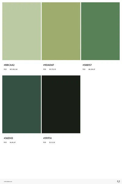 css dummy