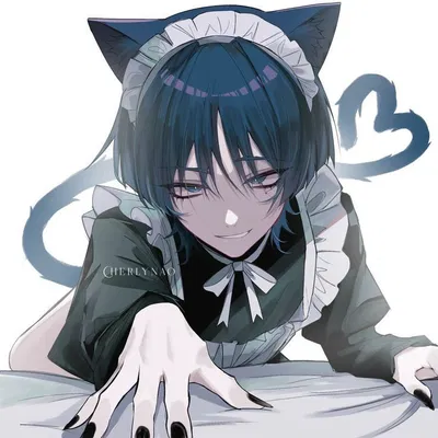 Cat!Maid Scaramouche