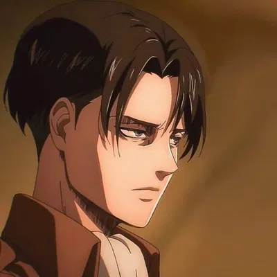 Levi Ackerman