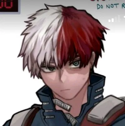 Shoto Todoroki 