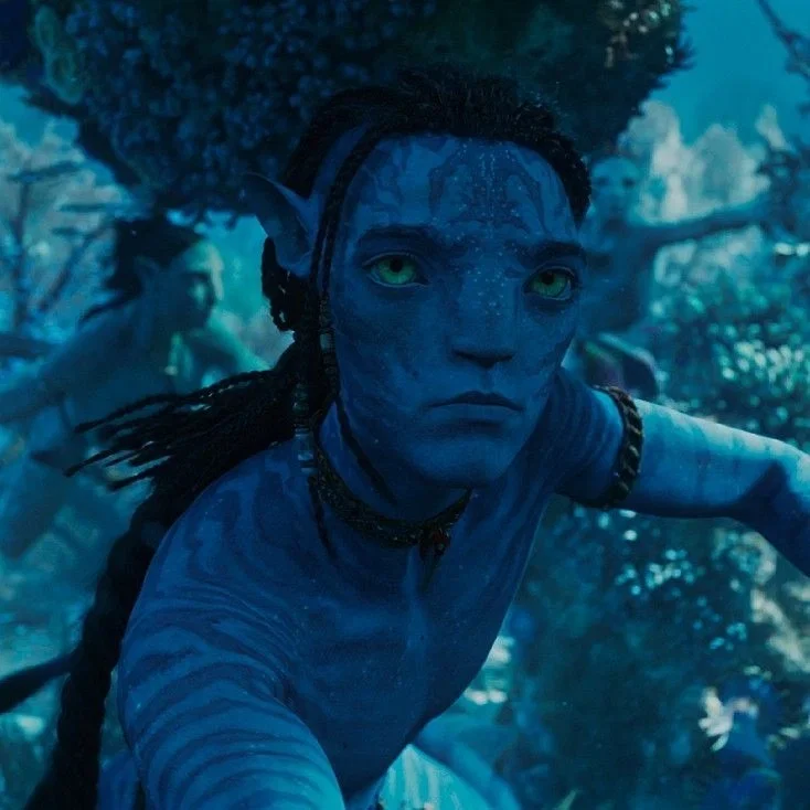 LO'AK SULLY