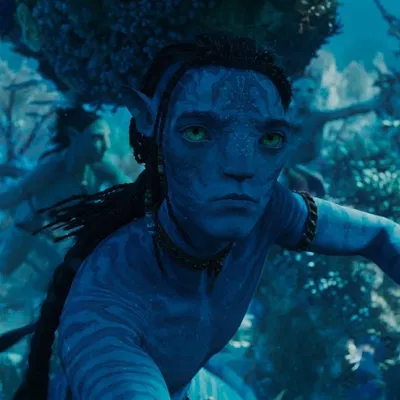 LO'AK SULLY